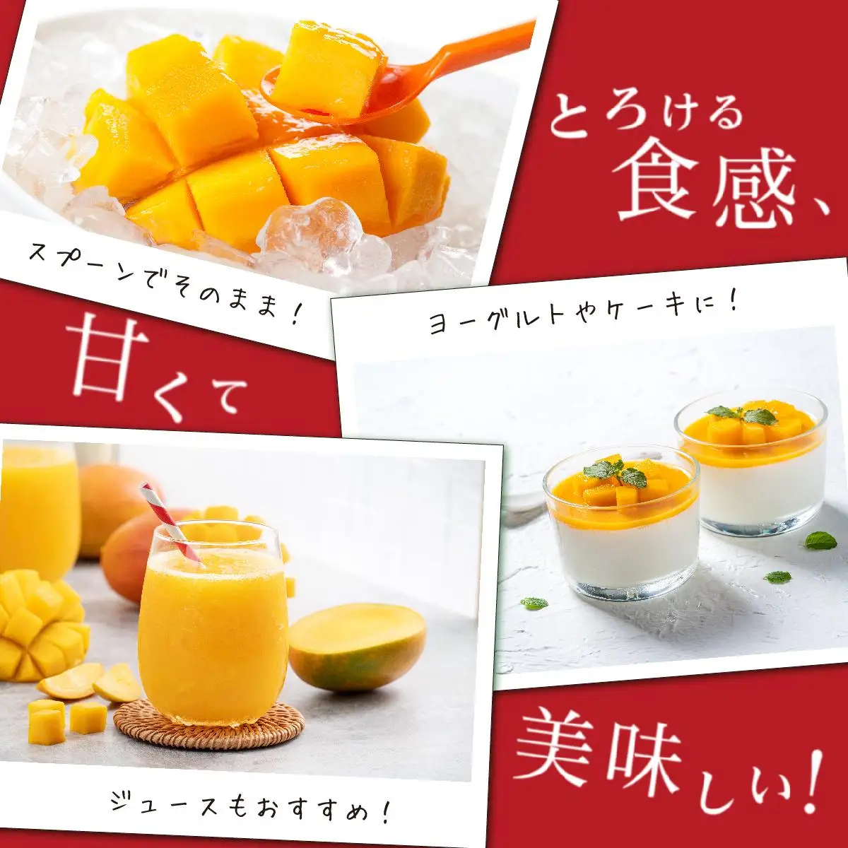 ＜先行予約＞マンゴー1kg　贈答用   I  マンゴー 1kg 贈答 用 フルーツ 果物 ギフト 高級   沖縄県 南城市 ふるさと納税 石崎ファーム