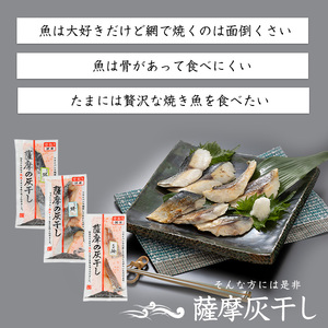 桜島火山灰で魚を熟成旨味が詰まった 薩摩の灰干し 2～3種合計6Pセット 浜上水産 IB038-001 干物 干物
