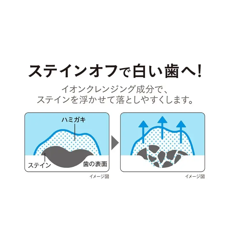 NONIO スプラッシュシトラス 12本 歯磨き粉 歯磨き粉ライオン