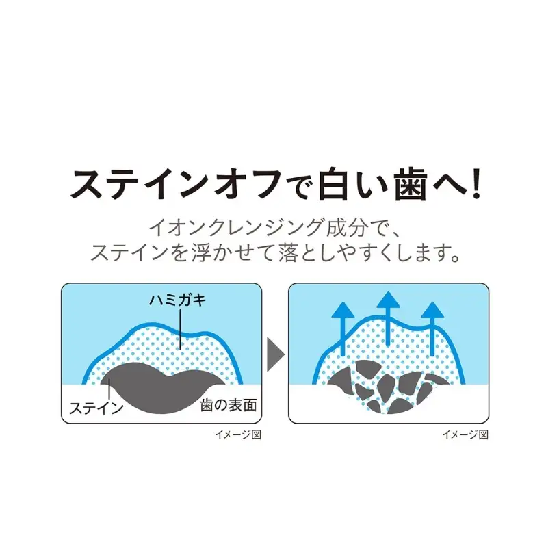  NONIO ピュアリーミント 12本 歯磨き粉 歯磨き粉 ライオン