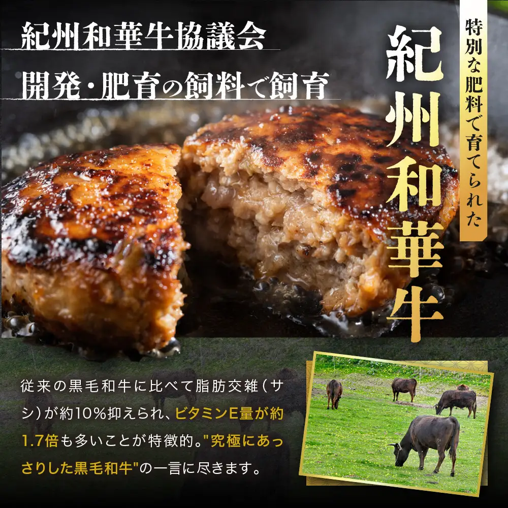 ［A4・A5］熟成紀州和華牛ミンチ 1kg（200g×5P）