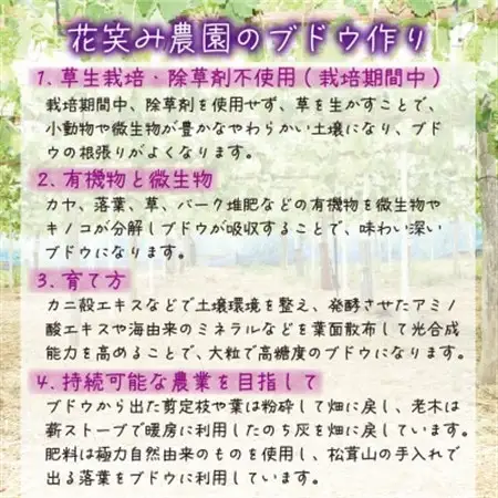岡山　花笑み農園の『10月おすすめ3種』家庭用　1.8kg(3房)3M-2L家【配送不可地域：離島】【1694423】