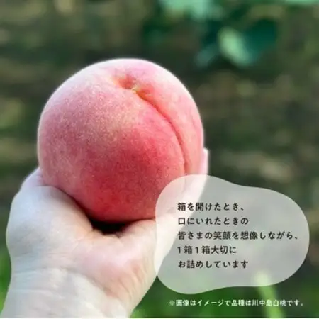 「硬めの桃好きさん」におすすめ! 硬め桃 ご家庭用 5-7玉(岡山県産)【配送不可地域：離島】【1696654】