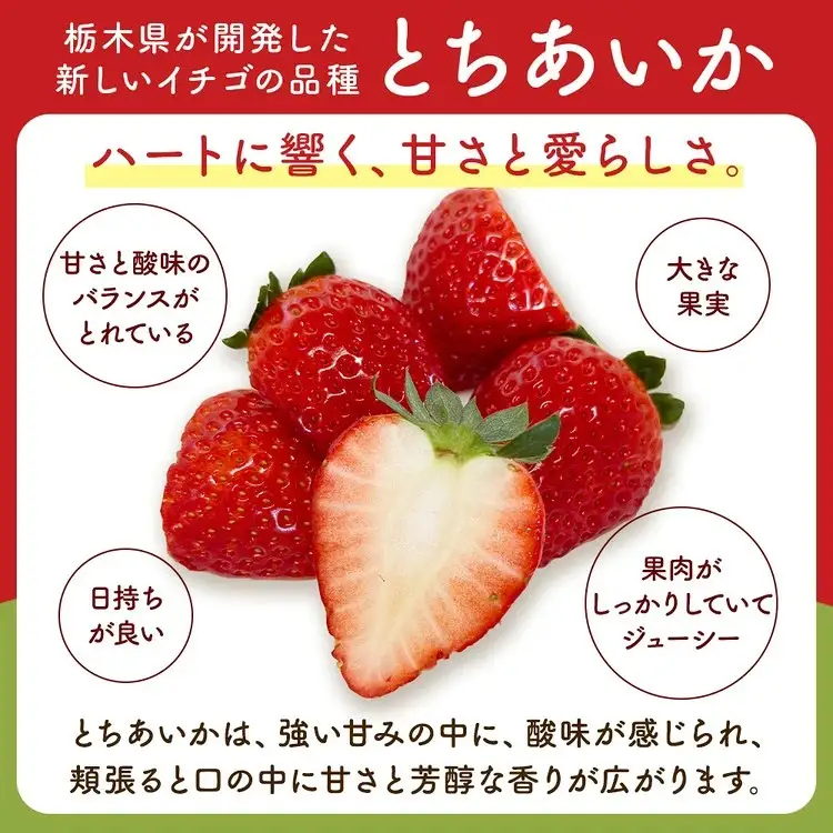 とちあいか 平パック 320g×4パック いちご 苺 栃木県 ※2027年1月～発送