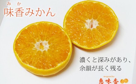 佐賀みかん ジュース 味香 贅沢搾り 果汁500ml 瓶 2本セット