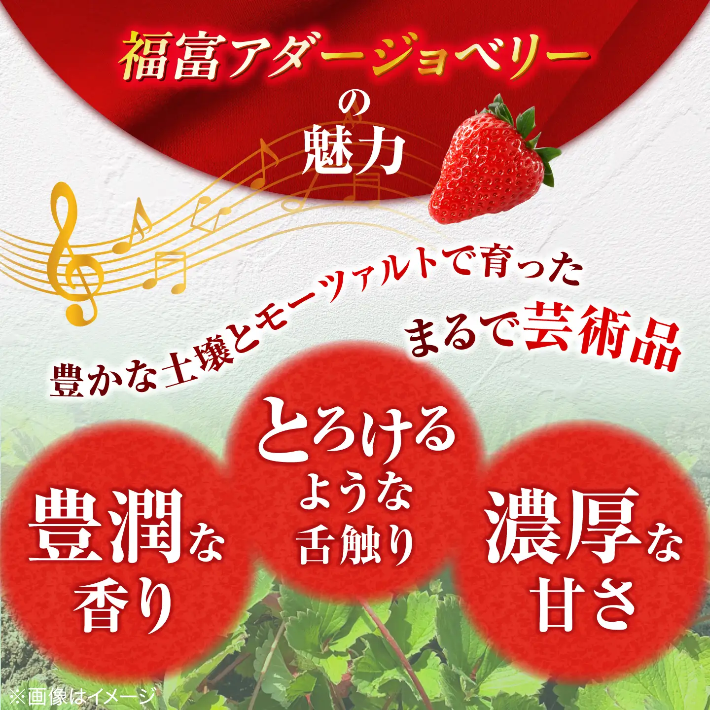 島根県産 いちご400g 苺[ALFI004] Lサイズ15個入り