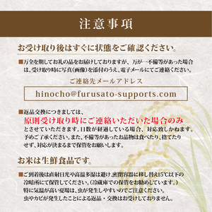 【 令和7年産 米 10kg 】 きぬひかり 白米