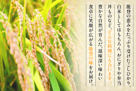 米 令和7年産 コシヒカリ 精米 3kg