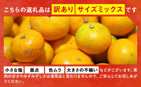 訳あり 温州みかん サイズミックス 3S ～ 3L 約10kg 日本フルーツ株式会社《10月中旬-2月下旬頃出荷》熊本県 荒尾市 みかん 温州みかん ミカン 蜜柑 柑橘類 訳あり ご家庭用 サイズ不揃い 果物 フルーツ