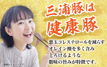 【12回定期便】 三浦豚 豚肉 ロース900ｇ（しゃぶしゃぶ用） / 恵那市 / あづま精肉店 [AUDL017]