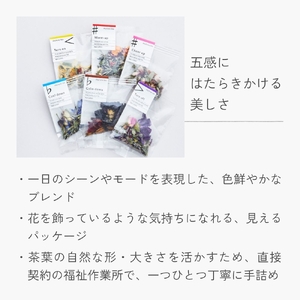 クラフト ハーブティー daytune. tea ライトセット （6種類×2個） 【 ノンカフェイン 有機 無農薬 】 ティーバッグ 個包装入り ティー 紅茶