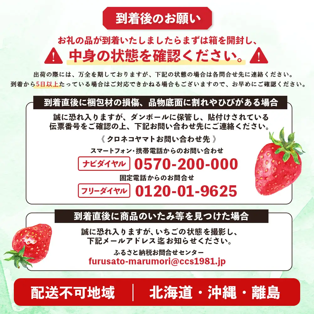 【先行受付】宮城県産いちご「にこにこベリー」約1kg（250ｇ×4）【58001BA0101】