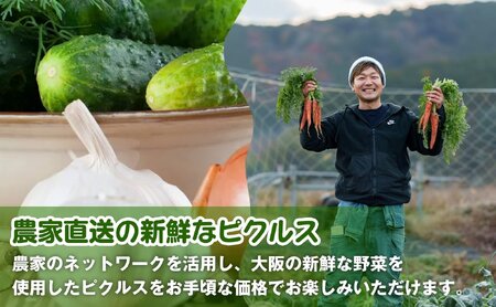 ＜農家の手作り ピクルス詰め合わせ！＞人気のピクルス3種セット(1セット・計3本)  タマネギと青じそ梅かつお さつまいもと柚子のサワーバニラ 酢漬け 漬物 おかず ヘルシー カラフル おつまみ ギフト 贈答用 【m104-08-A】【エントランスファーム】