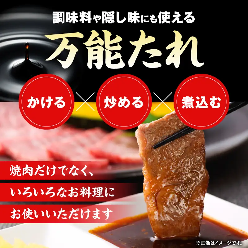 戸村本店 焼肉のたれ 3種 セット 合計12本_C171-26