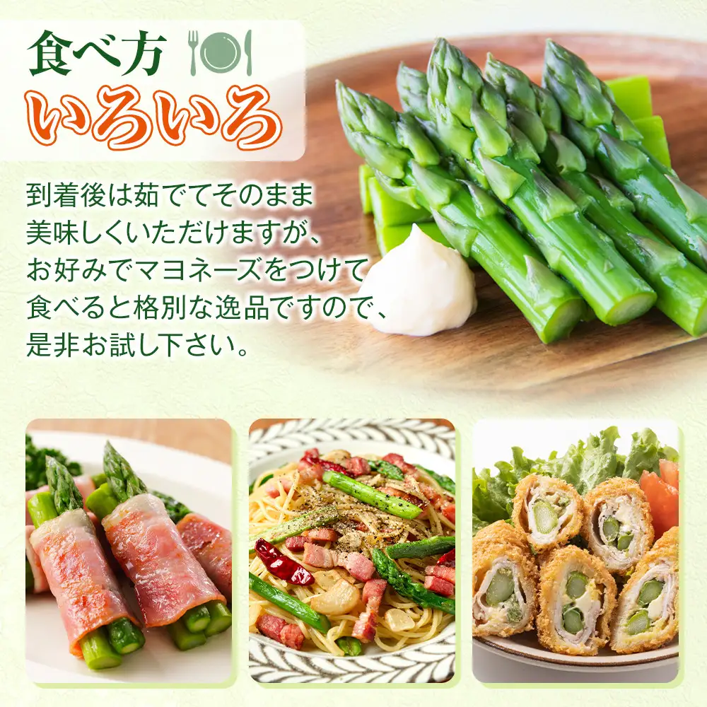 【2027年先行予約】農家直送 朝採れ 春グリーンアスパラ 2Lサイズ 800g(400g×2袋)  【野菜 アスパラガス 旬 新鮮 先行予約 アスパラガス あすぱらがす asparagus ASPARAGUS 北海道 旭川市 】_05934