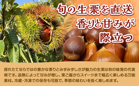 栗 むき栗 200g とくちゃん農園《2026年9月上旬-10月上旬頃出荷予定》熊本県 菊池市 栗 くり 熊本県産 秋の味覚 果物 くだもの フルーツ デザート ご飯