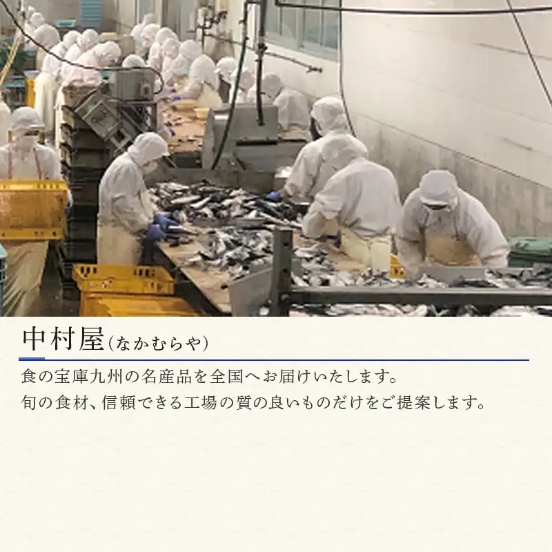 肉厚の塩サバ切身(昆布風味)25切セット 5切×5袋 