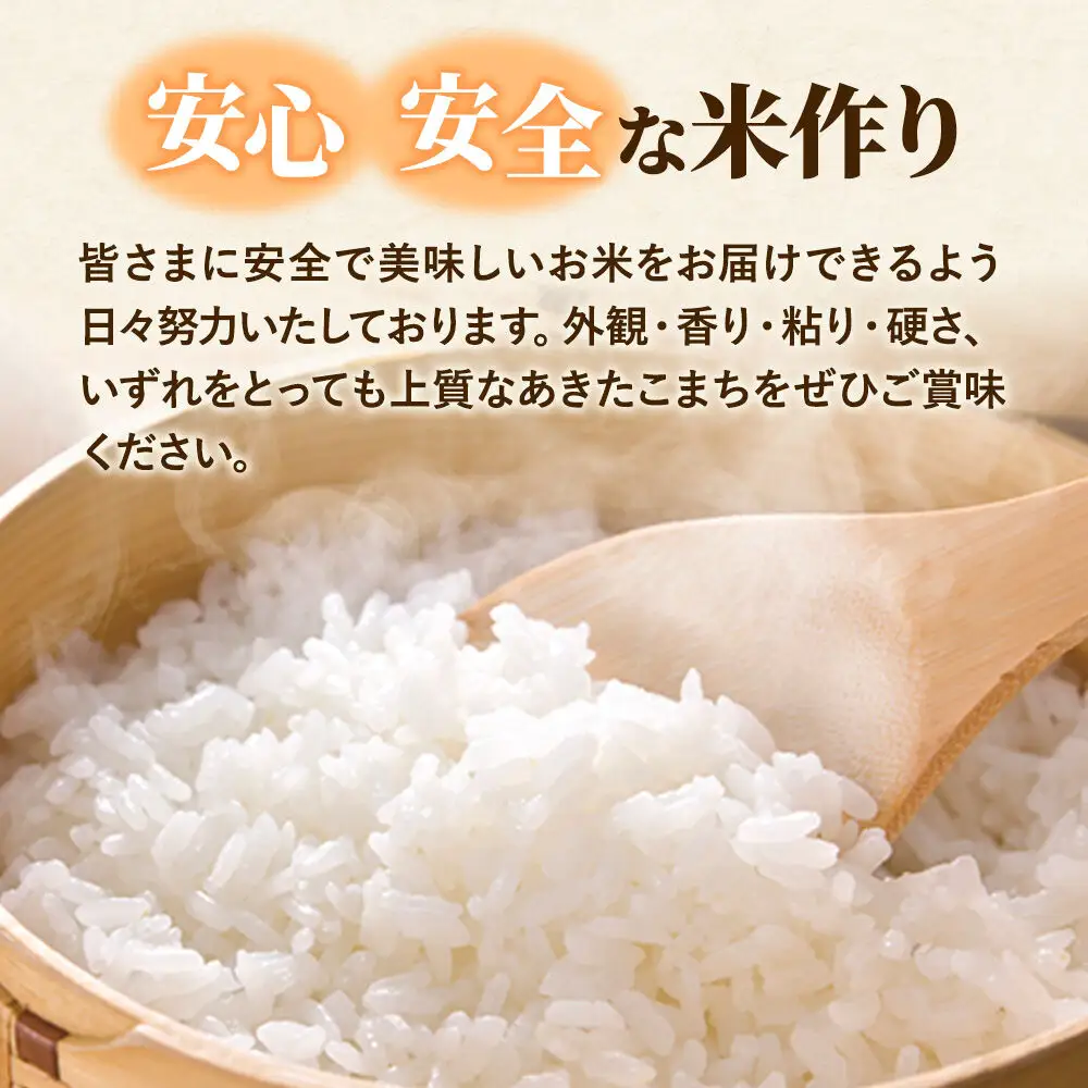 米 あきたこまち 白米 5kg 秋田県 大仙市 伊藤精米店