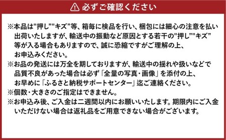 先行予約 岡山県産 ニューピオーネ 約2kg（3～6房）【2026年8月下旬～10月下旬まで順次発送予定】 葡萄 ぶどう ブドウ ピオーネ 大粒 種なし 種無し 果物 フルーツ 冷蔵 岡山県 倉敷市