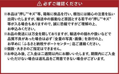先行予約 岡山県産 ニューピオーネ 約500g×2房 計約1kg【2026年8月下旬～10月下旬まで順次発送予定】 葡萄 ぶどう ブドウ ピオーネ 大粒 種なし 種無し 果物 フルーツ 冷蔵 岡山県 倉敷市