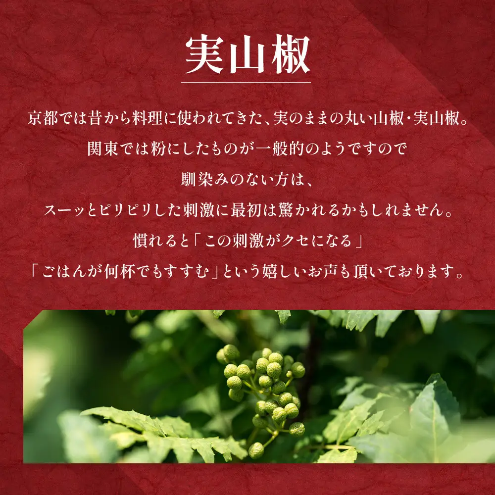 【はれま】チリメン山椒 紙箱入り(79g×1袋)｜京都 ちりめん山椒発祥 有名店 保存料無添加 人気セット