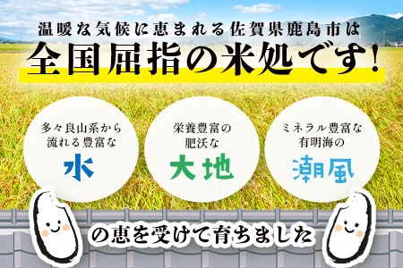 あなたのふるさとKashiMartが贈る「お米」の入った福袋A B-888 新年 年末 お正月 年始 佐賀 鹿島 九州 米 こめ コメ 精米 海苔 みかん レモン
