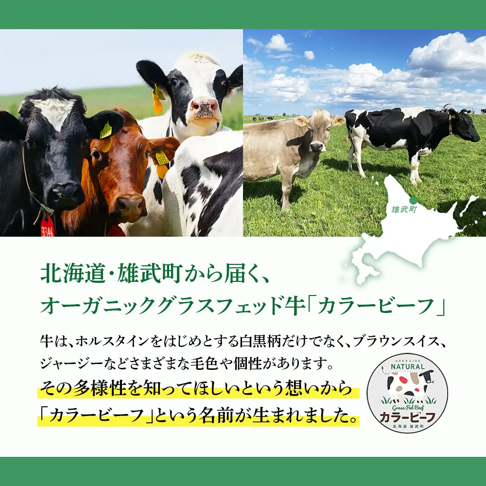 北海道雄武町産 有機黒毛和牛 ヒレ肉（200g） 1枚～2枚【01125】