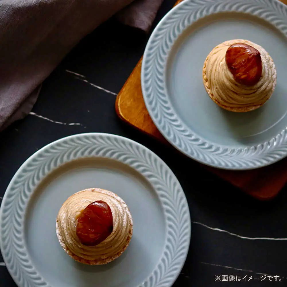 【波佐見焼】ローズマリー　リムプレートM グレー 2枚セット　食器 皿【翔芳窯】[FE584]