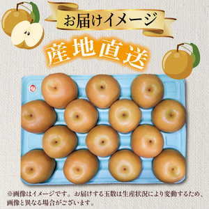 梨 訳あり 品種おまかせ梨 約5kg