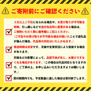 【2026年予約】 訳あり梨 品種食べ比べ梨 約2.5kg