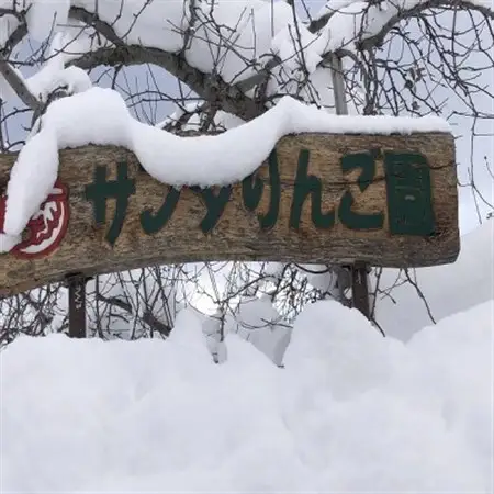 甘くてシャキシャキ!　青森県産りんご　ぐんま名月　家庭用　約3キロ　農家直送【1699143】
