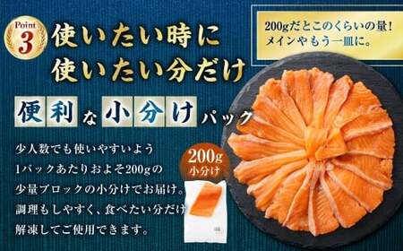 北海道産サーモン 約800g （約200g×4パック） サーモン 本マス マス 天然 新鮮 塩締め 急速凍結 小分け 冷凍