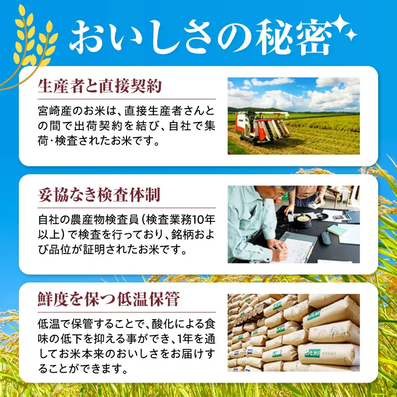 米 こしひかり 合計10kg 米[令和8年産 宮崎県産 5kg×2袋 2～7営業日以内に発送予定]