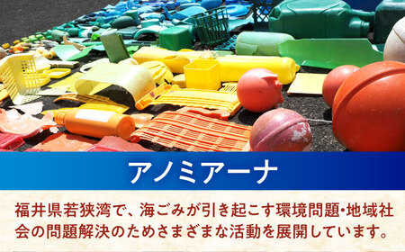 海洋プラスチック アップサイクル デスクセット 白色系 (ペントレイ・小物トレイ) / リサイクル 海洋資源 ビーチクリーン buoy 小浜市 / アノミアーナ[BFDM001]