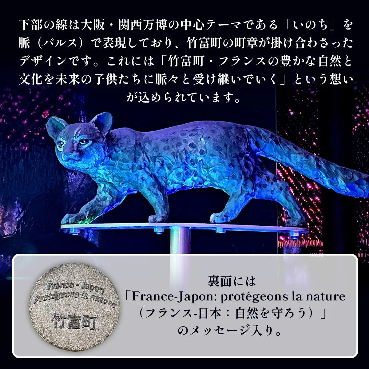 竹富町公式サステナブルマークピンバッジ【レッド】（マグネットタイプ）