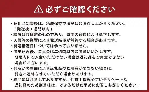 朝採りとうもろこし 恵味ゴールド 10本入り 【2026年7月上旬～8月上旬発送予定】