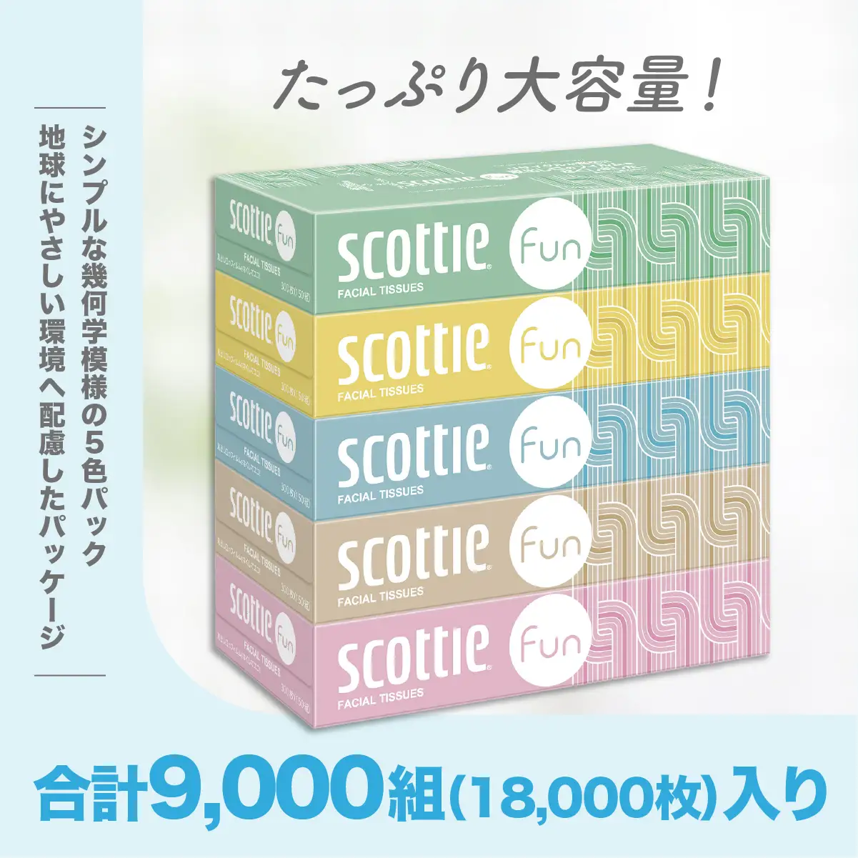 トイレットペーパー ティッシュペーパー 日用品セット2 トイレットペーパー ティッシュ 草加市