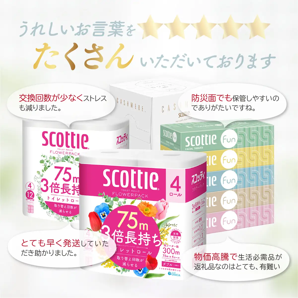 トイレットペーパー 【定期便 3ヶ月×2回】 ダブル スコッティ 草加市