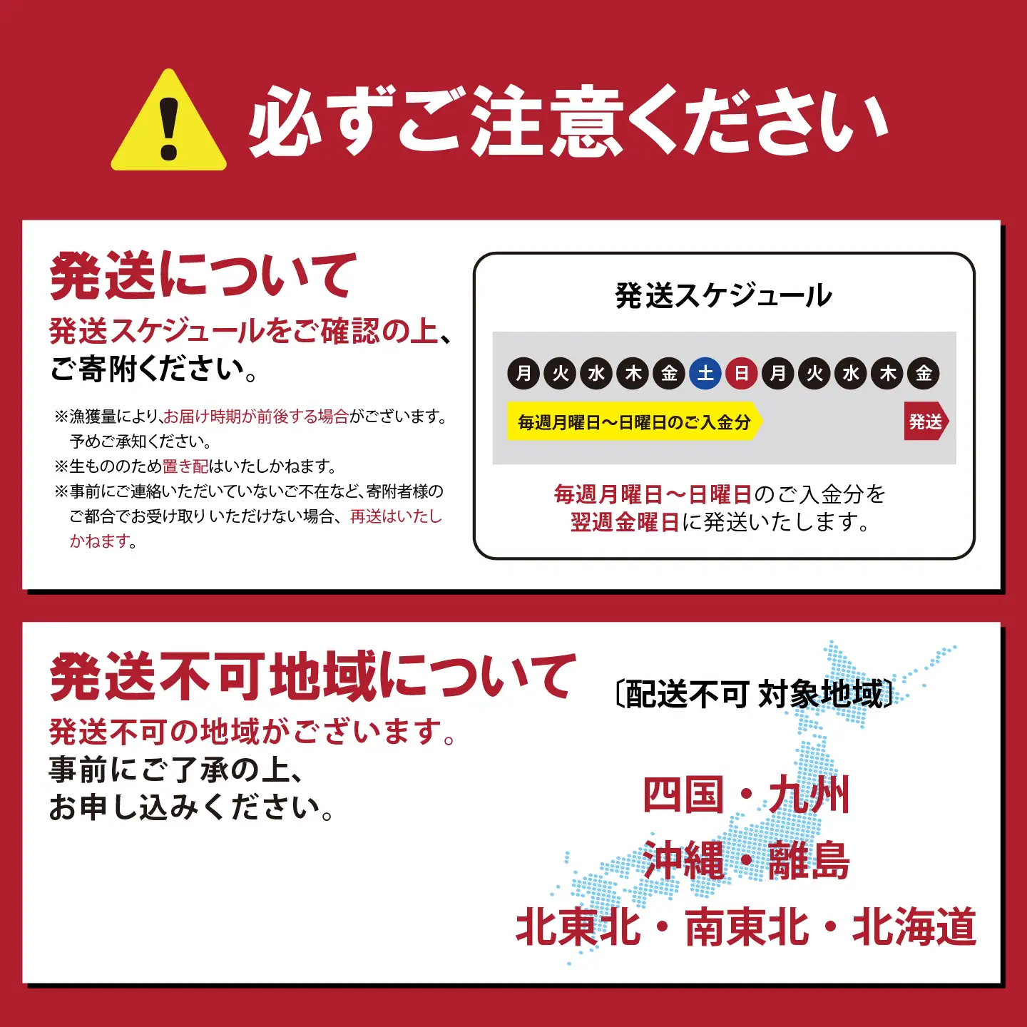 国産サーモン 冷凍 4～5P 約1kg サーモン