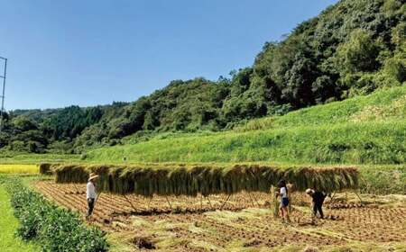 154-1281x1 天日干し ひのひかり 5kg お米 ご飯 自然農法 籾貯蔵 新鮮 大分県産
