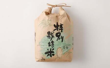 【5分】 夢つくし （特別栽培米） 約10kg 福岡県産 令和7年産 米 こめ コメ