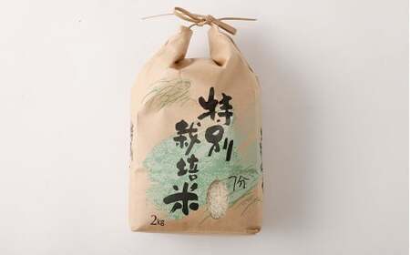 【7分】 夢つくし （特別栽培米） 約10kg 福岡県産 令和7年産 米 こめ コメ