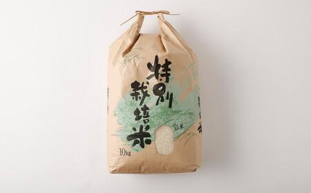 【白米】 夢つくし （特別栽培米） 約10kg 福岡県産 令和7年産 米 こめ コメ
