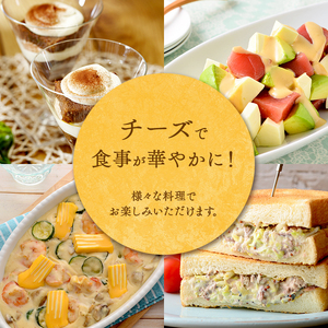 チーズ 丸形 6P 3種 お試し 詰め合わせ 森永 チーズ