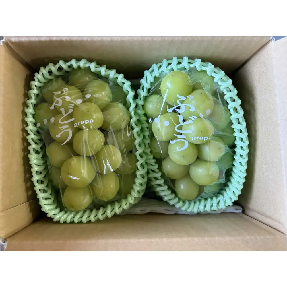 小松農園　2027年産先行予約シャインマスカット 1kg 果物 フルーツ マスカット 長野県 |  シャインマスカット ぶどう フルーツ 果物 人気 おすすめ ギフト プレゼント 送料無料 長野県 長野市 信州 信濃 ふるさと納税