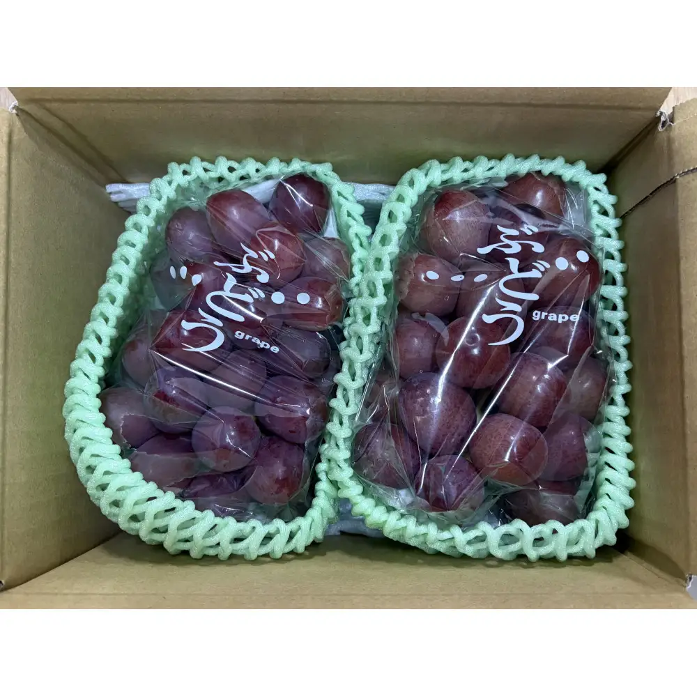 小松農園　2026年産先行予約クイーンルージュ(R) 1kg　果物 フルーツ ぶどう　長野県 | ぶどう