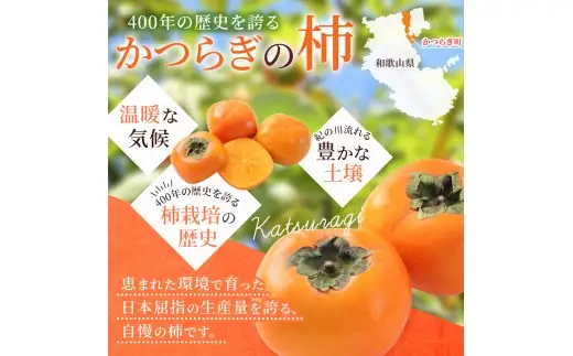 【2026年発送】富有柿 赤秀品 大玉 6個～8個入 こだわり農家厳選【2026年10月末から11月末頃に順次発送予定】 / 柿 フルーツ 果物 かき 和歌山 かつらぎ 農家直送 贈答 【kgr043】