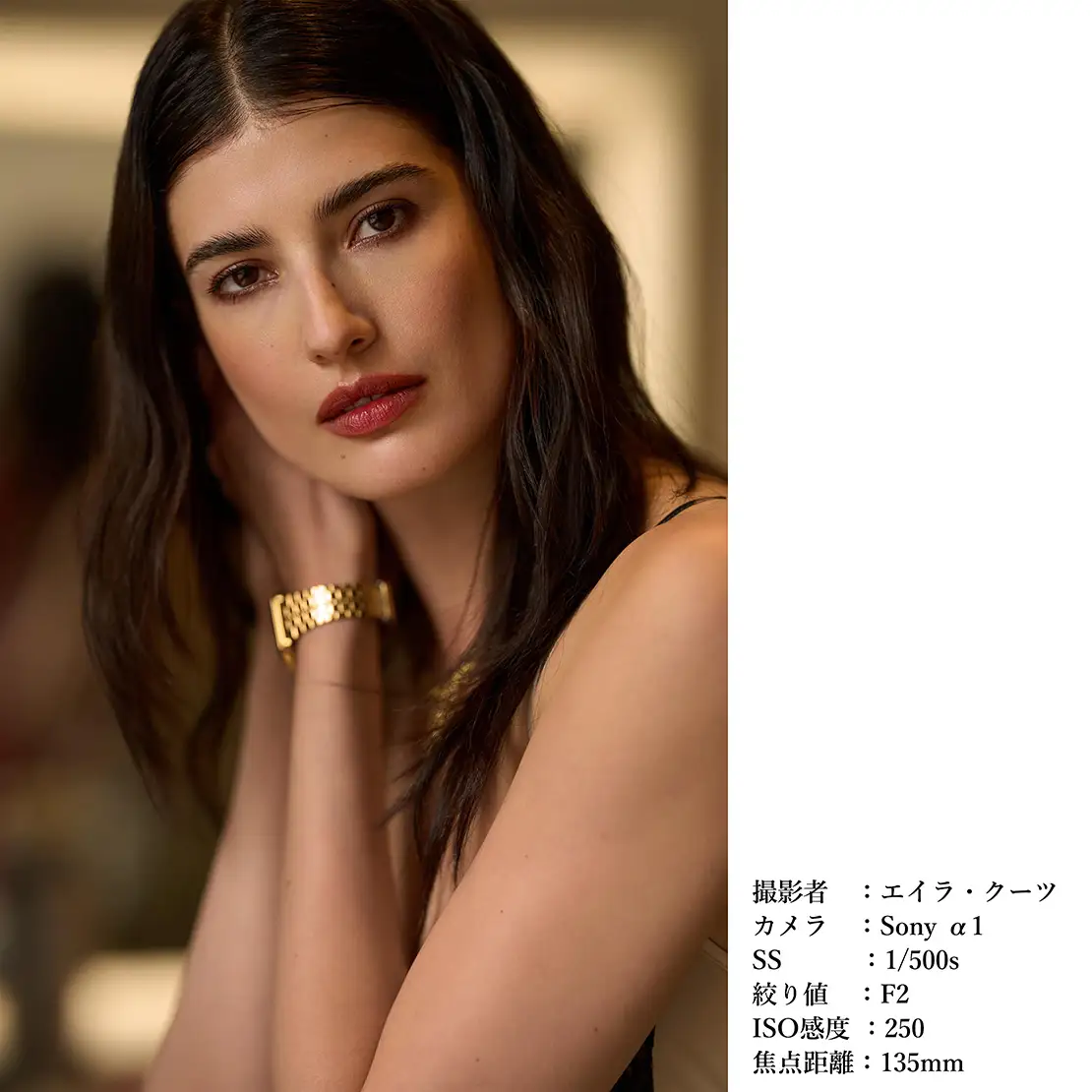 SIGMA 135mm F1.4 DG | Art【Lマウント】カメラ レンズ 家電 シグマ レンズ ソニー レンズ