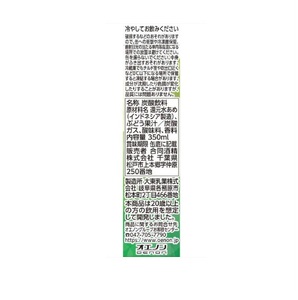 1221 合同酒精 カンパイチアーズ！ 白ぶどう＆ミント ノンアルコールチューハイ 缶 350ml×24本　１ケース
