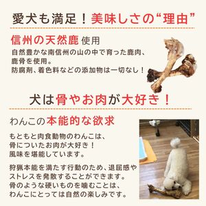 信州産 天然鹿おやつセットA